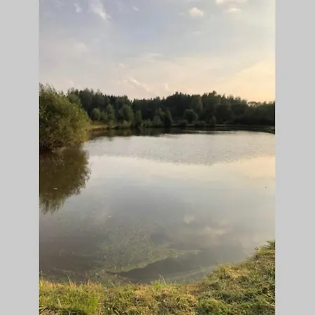 度假居 Caloroczny Letniskowy Ze Stawem Harsz