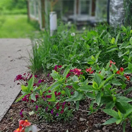 Caloroczny Letniskowy Ze Stawem *