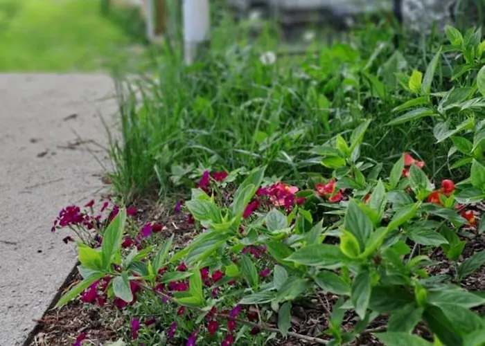 Caloroczny Letniskowy Ze Stawem *